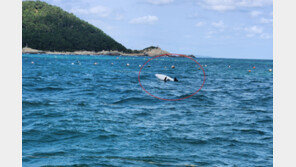 부산 앞바다서 윙포일 즐기던 50대, 양식장 줄에 걸려 표류