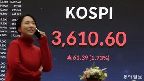 AI 훈풍에 반도체 질주… 삼성 시총 600조, 하이닉스 300조 돌파