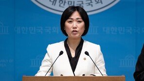 민주 “이스라엘 구금 국민 석방 환영…정부 노력의 결실”