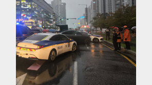 ‘강남에 시흥까지’ 테슬라 훔쳐 도주극 벌인 20대 구속영장 신청