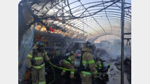 군산 옥서면 비닐하우스서 불…2130여만원 피해