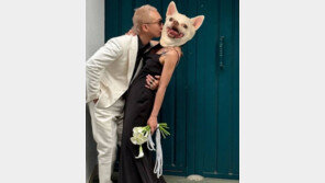 노브레인 이성우 오늘 결혼 “나이 50에 신혼이네요”