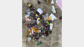 “납치 얼마나 많으면…” 소름돋는 캄보디아 쓰레기통