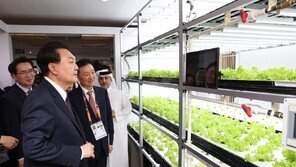 [단독]尹정부 “농축산 역대 최대 수출”의 반전…적자만 168조