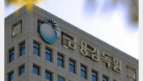 정작 금감원이…주식투자 규정 어긴 직원 113명 중 4명 징계