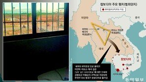 [단독]“고수익 알바 갔더니 전기-물고문…로맨스 스캠 동원”
