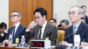 [단독]롯데카드-홈플러스 대주주 MBK, 국감자료 제출 거부