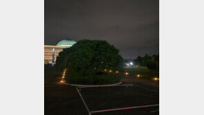 국힘, 국회 내 양평공무원 분향소 설치 시도…사무처 “불허”