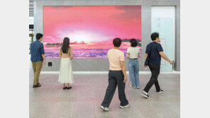 예술에 눈뜬 구청, 눈길-발길 다 잡았다