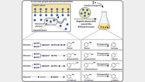 KAIST팀, 석유 아닌 미생물서 페트병 원료 추출