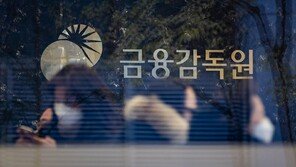 금감원 113명 주식투자 규정 위반… 징계는 4명뿐