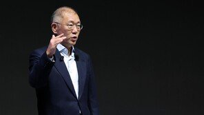 [단독]與, 정의선 국감 증인 철회… 최태원-정용진은 야당과 조율