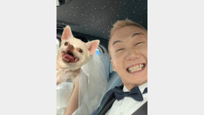 노브레인 이성우, 임영웅 영어선생님과 결혼 “잘 살겠습니다”