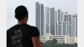 서울 소형 아파트도 10억원 시대…개포동 25억