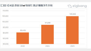 서울 전용 59㎡ 매매가 10억 돌파…강남구 집값 20억 ‘훌쩍’