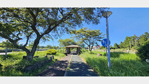 “바다 말고 또 있네” 제주서 도시숲 핫플 3곳 선정