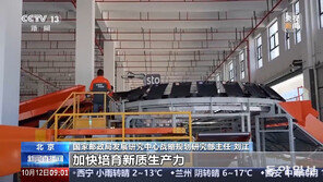 中 올해 택배 물량 1500억 건 돌파…지난해보다 37일 빨라