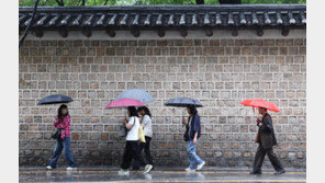 이번주 내내 비…내일까지 강원 영동 최대 120㎜