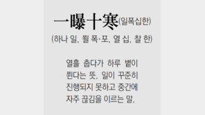 [신문과 놀자!/풀어쓰는 한자성어]一曝十寒(일폭십한)(하나 일, 쬘 폭·포, 열 십, 찰 한)