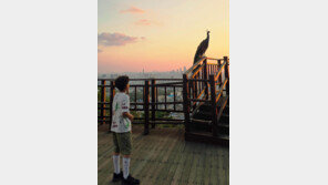 전생에 귀족?[고양이 눈]