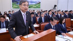 조현 “조지아 한국인 구금때 美대사 초치”