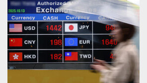 환율 장중 1430원 웃돌자… 당국 1년반만에 구두개입