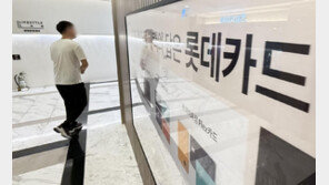 7년간 롯데카드 11번 검사했지만…금감원, 해킹 등 보안문제는 ‘노터치’