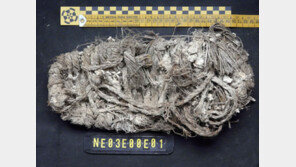 독수리 둥지에서 고고학 유물?…700년 된 신발에 학계 ‘깜짝’