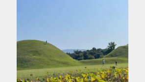 경주 신라 고분 위 올라간 아이 논란…“훼손 우려”