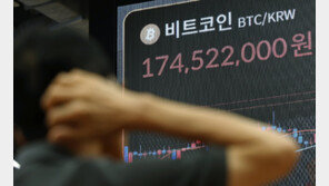 “차트 말고 SNS 본다” 코인판 뒤흔든 ‘트럼프 리딩’…속타는 투자자들