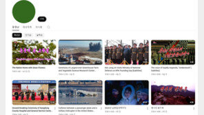 北 체제 미화 불법정보, 최근 5년간불법정보 1만건 달해