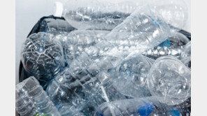 캄보디아서 통장 빌려준 30대 “1주 동안 생수 10병으로 버텨”