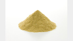 현미껍질의 재발견… ‘장 건강’ 지키는 도우미