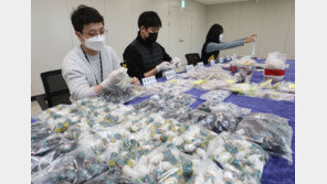 [단독]올 상반기 마약사범 집유 1296명… 치료 명령은 20명뿐