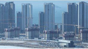 “증세前 물려주자” 서울 아파트-빌라 증여 1년새 20% 급증