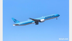 대한항공, 하노이발 인천행 항공기 지연… “조류충돌로 인한 안전조치, 승객께 송구”