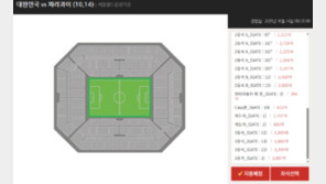 경기 직전인데… 파라과이전 4만석 ‘텅텅’, 팬들도 돌아섰다