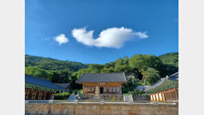 “40대 미혼 모여라”…절에서 저출산 극복 ‘만남의 장’