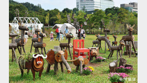 버려진 목재에 생명을… 서울국제정원박람회 나무 동물들