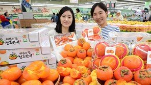 가을엔 ‘청도 반시’가 제철