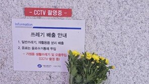 [고양이 눈]기다림