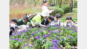 “꼭꼭 숨어라, 곤충 다리 보일라”