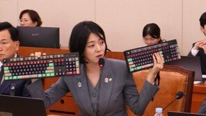 국감장에 ‘케데헌 호랑이’ 등장…배현진 “中짝퉁 막아야”