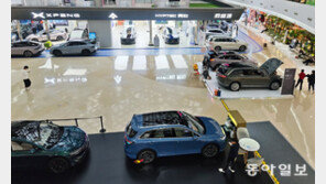 [글로벌 현장을 가다/김철중]“129개 중 15개만 생존”… 출혈 경쟁에 해외로 눈돌리는 中 전기차