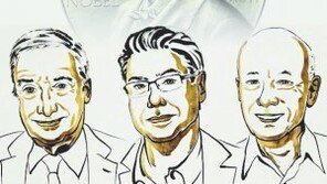 [횡설수설/정임수]노벨상이 주목한 ‘창조적 파괴’