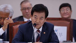 정동영, 국감서 “남북 두 국가론 정부입장 될 것”