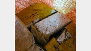 제주 바닷가서 66만명 투약분량 마약 케타민 발견