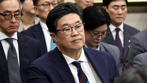 “MBK는 사모펀드 운용사, 난 총수 아냐”… 국감 나온 김병주 홈플러스 책임 회피