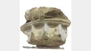 “50년 전 내가 훔쳤다”…양심고백으로 돌아온 고대 그리스 유물