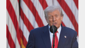 트럼프 “하마스, 무장해제 안하면 폭력적으로 해제시킬 것”